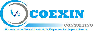 Coexin Consulting